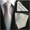 Spoločenská kravata a vreckovka - sada so strieborným vzorom