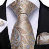 Moderná kravatová sada s prepracovanými ornamentami